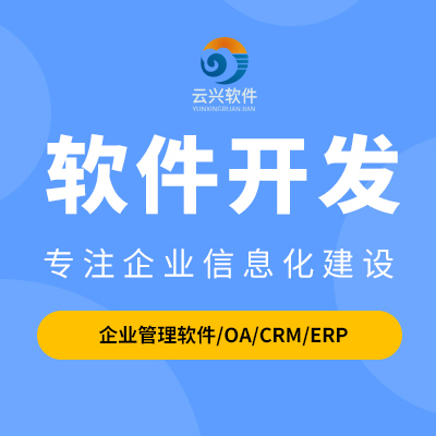 企业管理软件开发