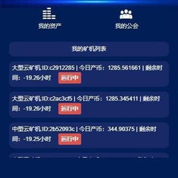 psp矿机系统可定制开发