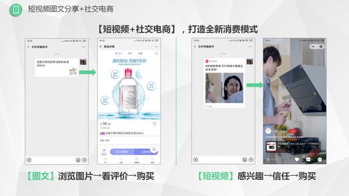 新零售生鲜系统软件开发,新零售生鲜系统源码,微三云